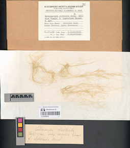 LE A0000645