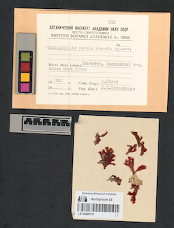 LE A0000711