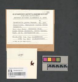 LE A0000752