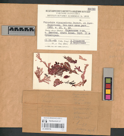 LE A0000756