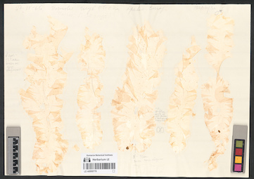 LE A0000770