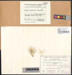 LE A0000808