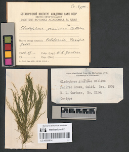 LE A0000814