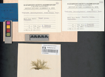 LE A0000820