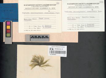 LE A0000821