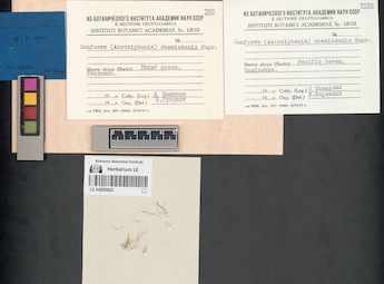 LE A0000822
