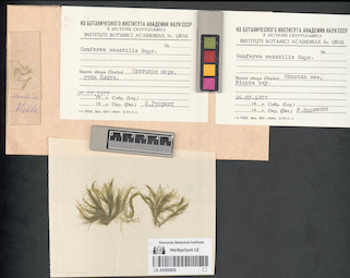 LE A0000829