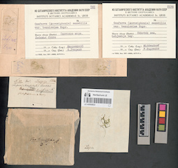 LE A0000833