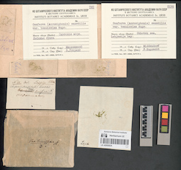 LE A0000834