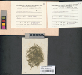 LE A0000836