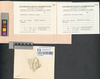 LE A0000837