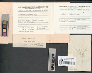 LE A0000841
