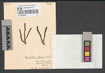 LE A0000844