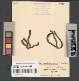 LE A0000845