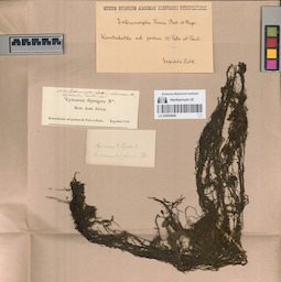 LE A0000846