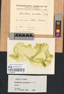 LE A0000848