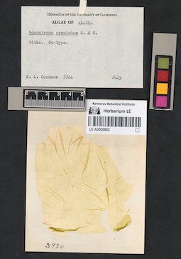 LE A0000852