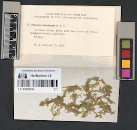 LE A0000854