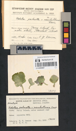 LE A0000857