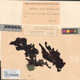 LE A0000859