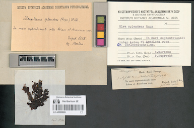LE A0000869
