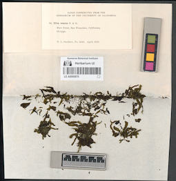 LE A0000870