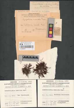 LE A0000872