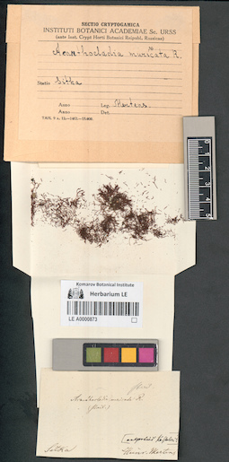 LE A0000873