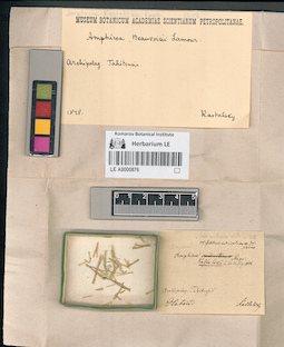 LE A0000876