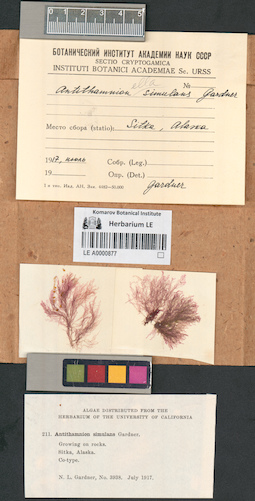 LE A0000877
