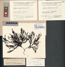 LE A0000878