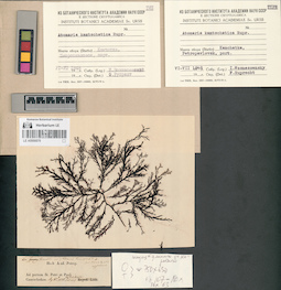 LE A0000879
