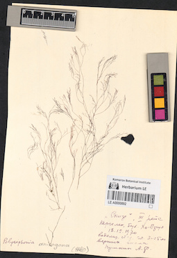 LE A0000892