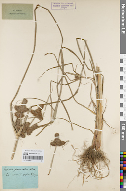 LE 01159887