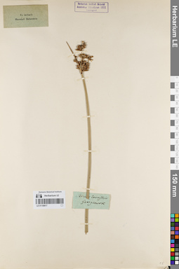 LE 01159917