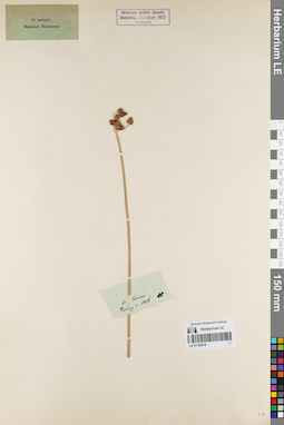 LE 01159919