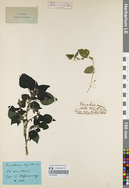 LE 01160120