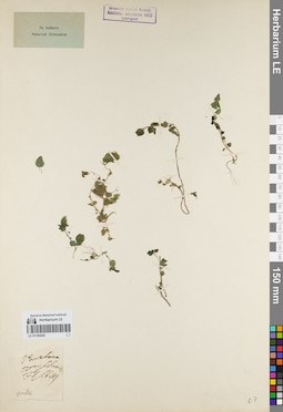 LE 01160242