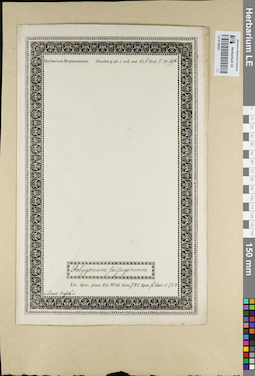 LE 01160301