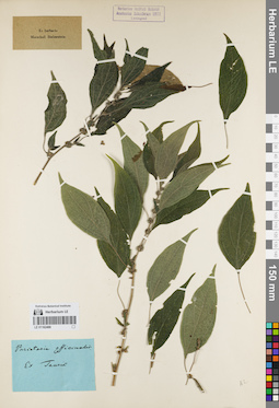 LE 01162488