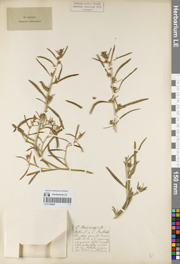LE 01160468