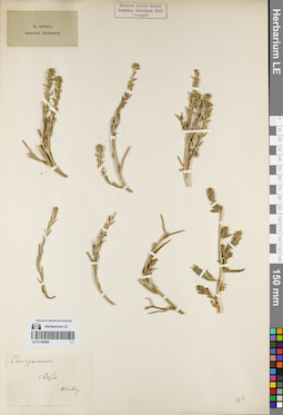 LE 01160469