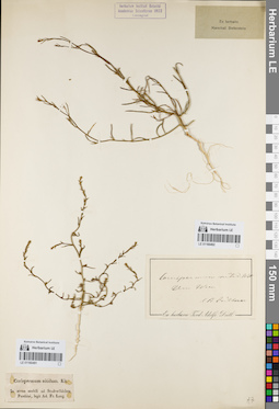 LE 01160491