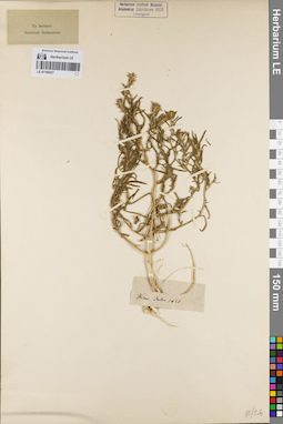 LE 01160537