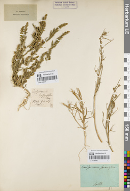 LE 01160542