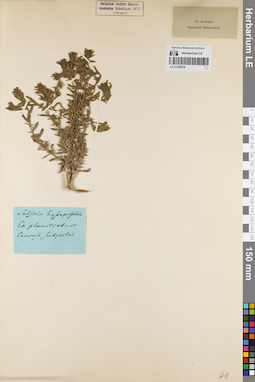 LE 01160576