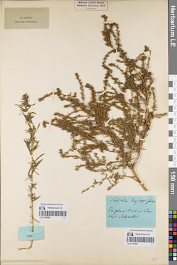LE 01160581