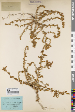 LE 01160589