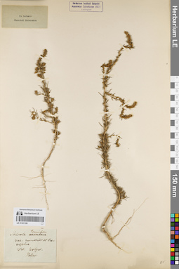 LE 01161169