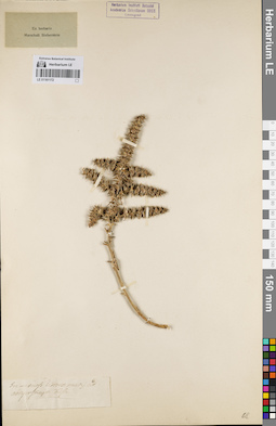 LE 01161172
